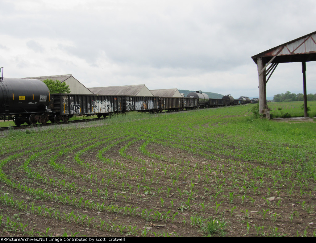 More gondolas and tank cars